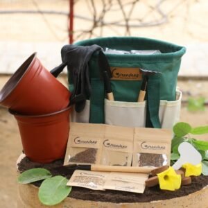 Herbs Veggie Gardening Kit