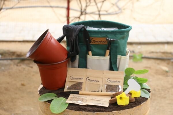 Herbs Veggie Gardening Kit