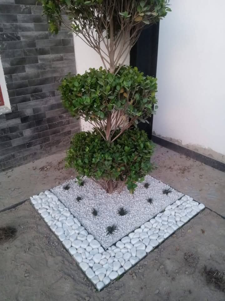 WhatsApp Image 2026-08-01 at 2.35.03 PM (1)